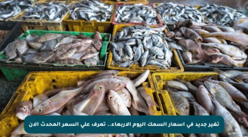 تغير جديد في أسعار السمك اليوم الأربعاء.. تعرف على السعر المحدث الآن